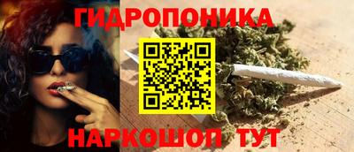 индика Тула