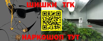 индика Тула