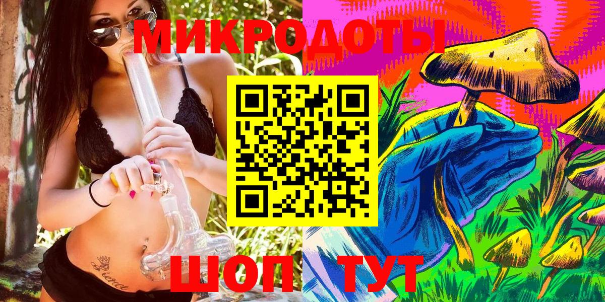 Псилоцибиновые грибы Psilocybe Михайловка