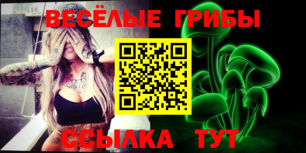 Михайловка  Псилоцибиновые грибы Cubensis  Галлюциногенные грибы Magic Shrooms  Вход с VPN 